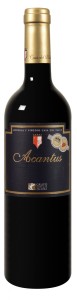 Bodegas y Viñedos Casa del Valle - Acantus - VdT de Castilla 2013