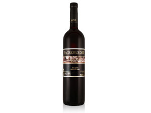 Julius Hafner SACREMUS XIII 2013