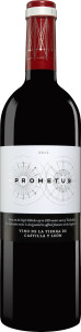Prometus 2013 - Der Gewinner 