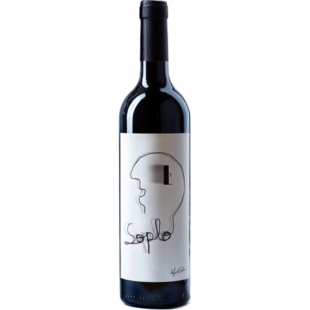 Rafael Cambra - Soplo 2016