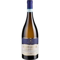 Pinot Grigio Castel del Lago - 2021 - Riolite Vini