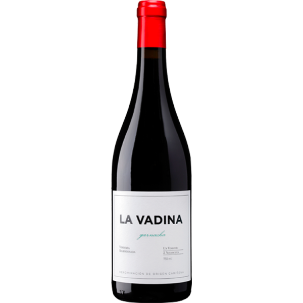 La Vadina 2022 - j. Navascues Enologia