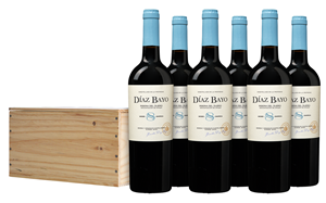 Bodegas Diaz Bayo 8 Meses Ribera del Duero 2023